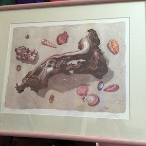 Original Shell Wall Art Print by Unger